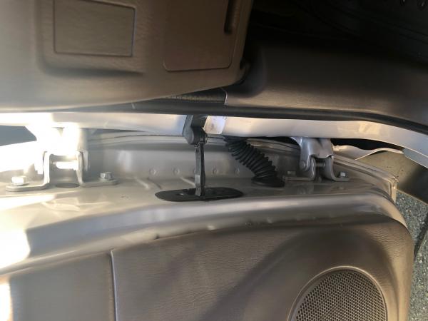T4R Drvr Door Hinge