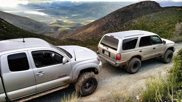 Taco and Runner