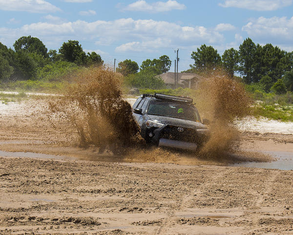 Taking a little dip ;)