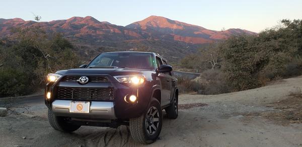 Taking it off road before I even got the plates. I couldn't resist.