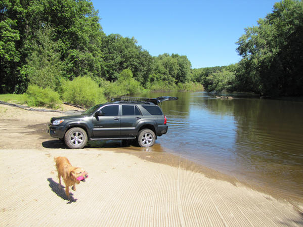 Taking Murphy swimming.