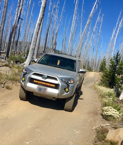 Taylor lake trail, waldo lake OR area