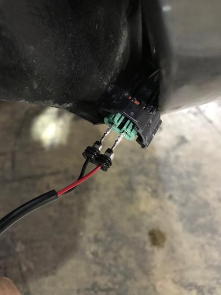 Testing the polarity before attaching the connector to the Morimoto fog lights.