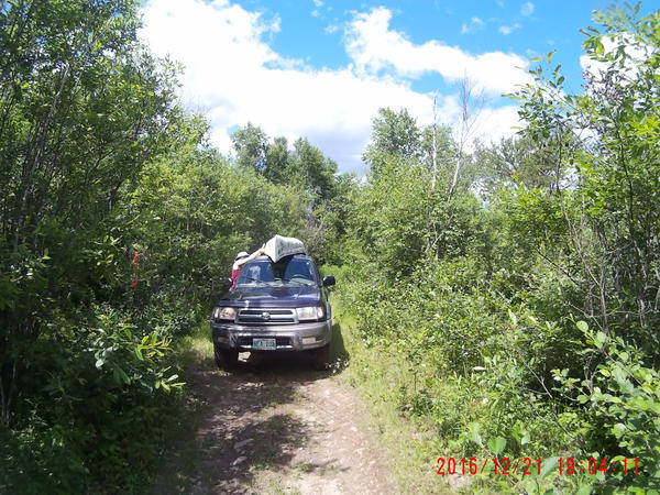 That time my friends and I found an abandoned canoe in the woods