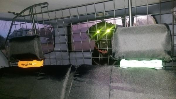 The beast (Johnny Cash) in his cage.