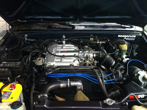 The beast :)