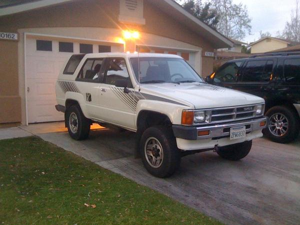 The day I brought her home