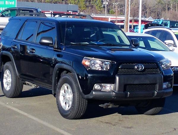 The day I got her in early 2018