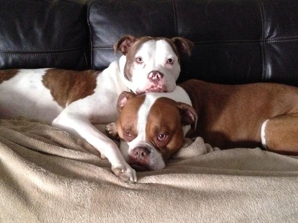the kids