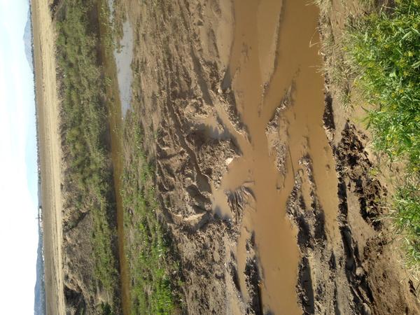 The mud hole the green mule couldn't get out, until I helped her with with the shovel. There was so much silt between the all terrain treads they were