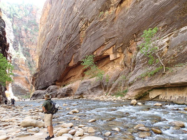 The Narrows, Zion NP, UT