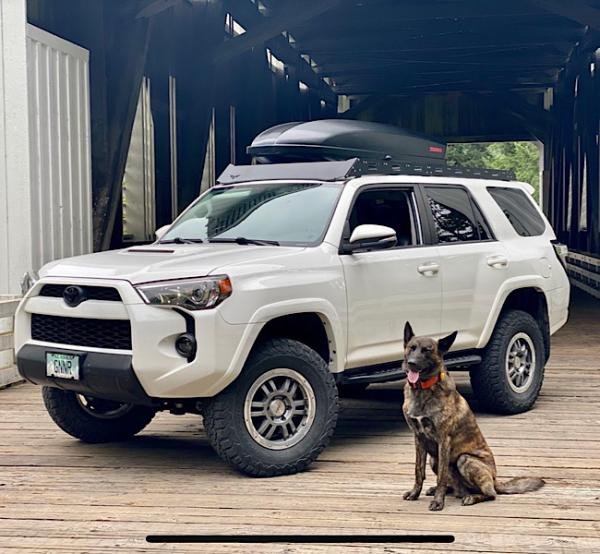 The new rig. Near Cottage Grove Oregon. Purchased in April. 2014 Trail Premium. Upgrades: BFG KO2 in 285/70R17 load E, Toytec/Bilstien 3” lift front, 