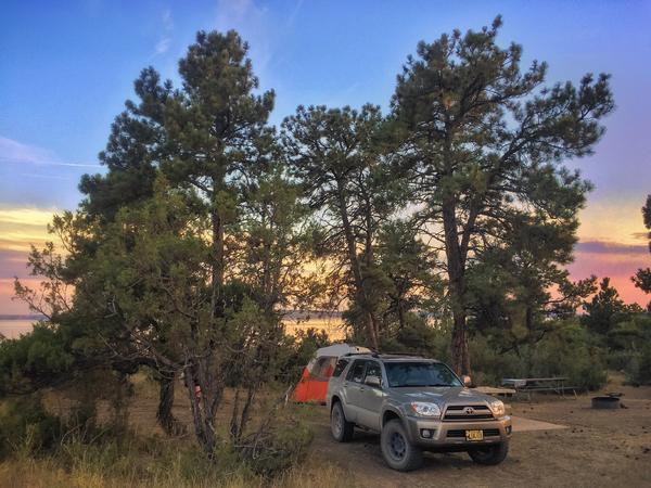 The Pines