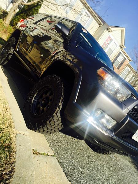 The Sparkly Beast
