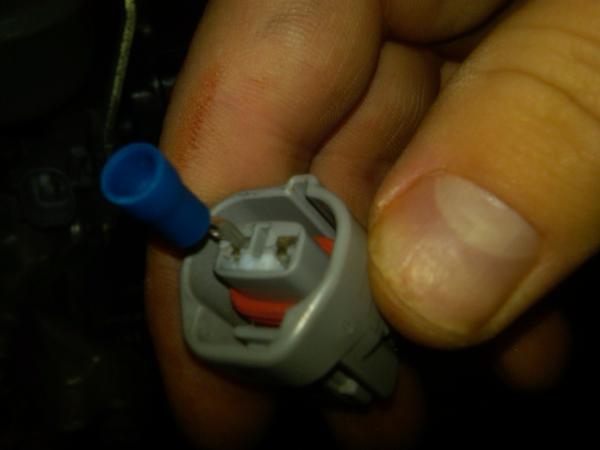 The trimmed connector fits into the adaptor