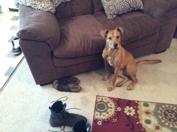 This is Obi