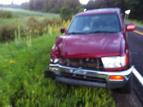 This is Ruby, moments after the accident.  I was headed up to Fly fish and while coming around a blind corner, I collided with a cow that was running 