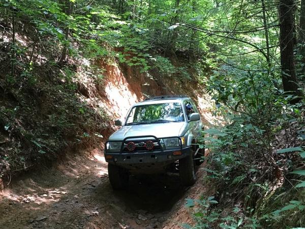 Thought the trail would stay like this, that changed fast