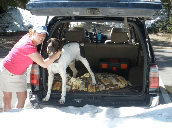 Trail Ridge Road, Colorodo in June. My wife and my German Shorthaired Pointer