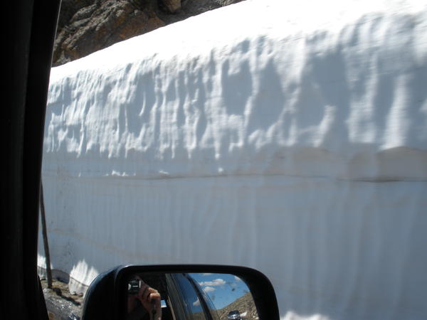Trail Ridge Road in Colorado in June!