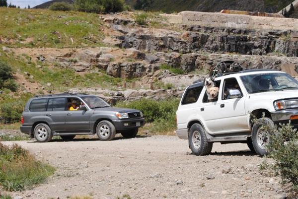 Trail Riding Colorado- The Pack: 95 4runner and 00 Land Cruiser