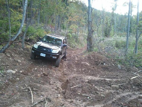 Trail riding on old skidder trails in cutover looking for hunting spots
