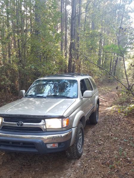 Trail Riding