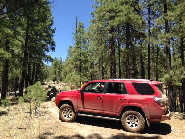 Trail we explored behind the Peaks in Flagstaff, AZ
Giant rock blocking the road, had to turn around.