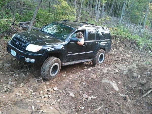 Trailriding old skidder trail cont.