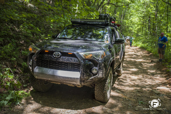 Tray Mountain GA