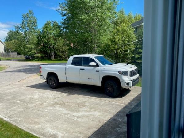 tundra