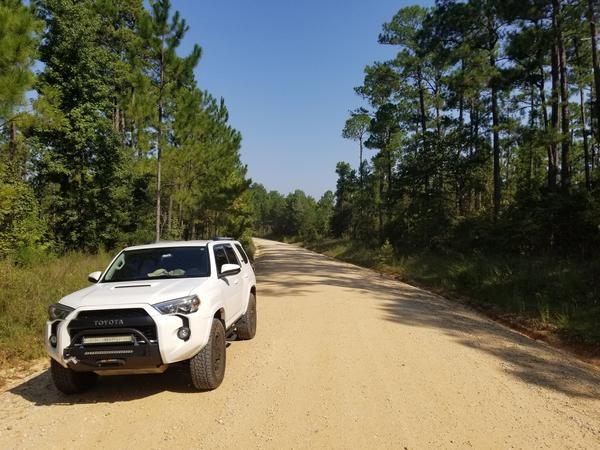 Tuskegee National Park