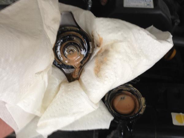 Under the radiator cap