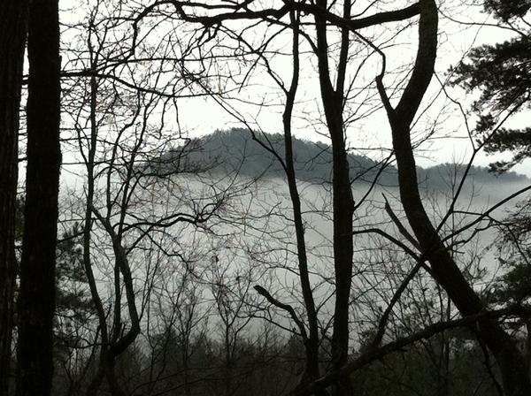 Up on Tray Mtn.