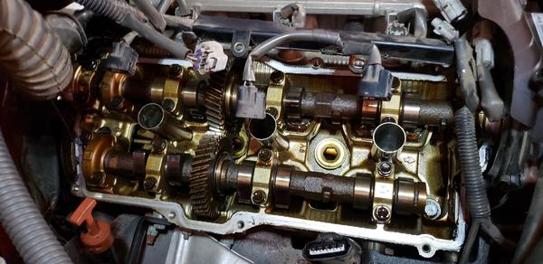 Valve cover gaskets, plugs and wires. Looks all right.