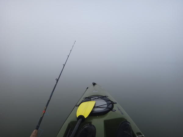 Very Foggy