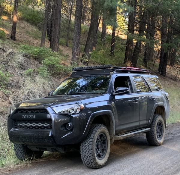 WABDR 2019