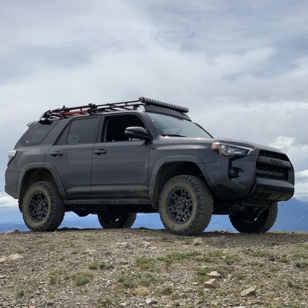 WABDR 2019