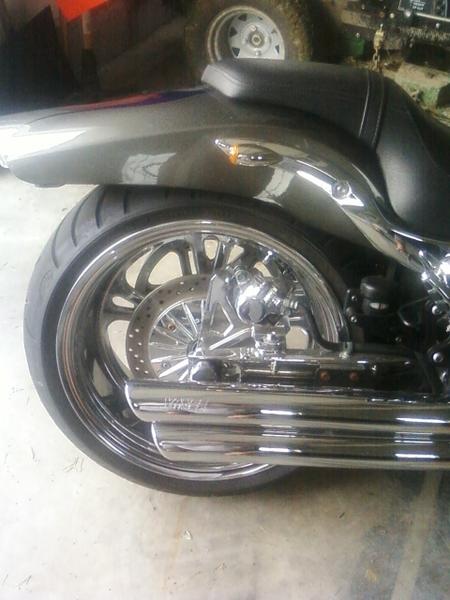 warrior 7