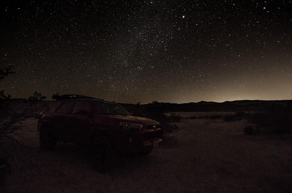 Warthog under the stars