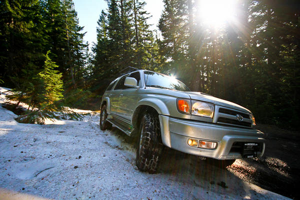 We found snow!