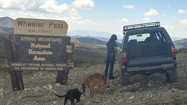 Wheeler Pass.