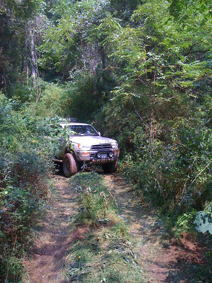 wheelin 2011 sept 22