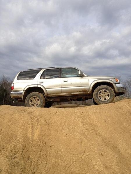 wheeln at dirty turtle in kentucky