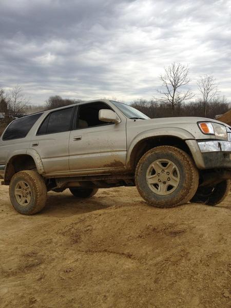wheeln at dirty turtle in kentucky