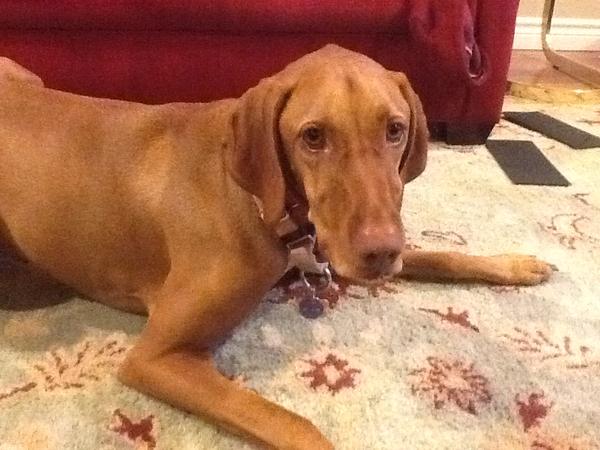 When are going on a walk?