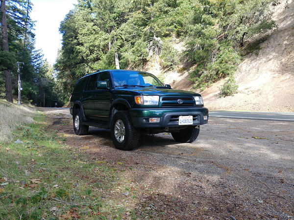 When I got her