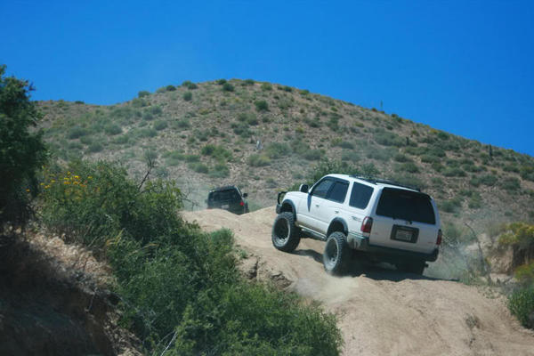 White Mtn