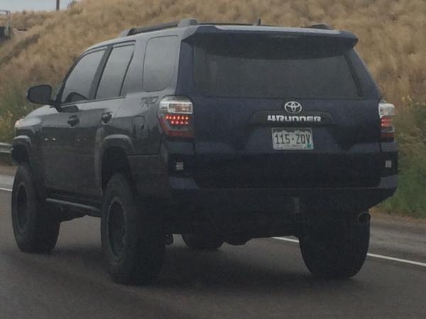 Who is this and what bumper is that?