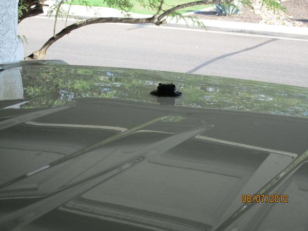 Wilson 1000 cap. Pretty stealth